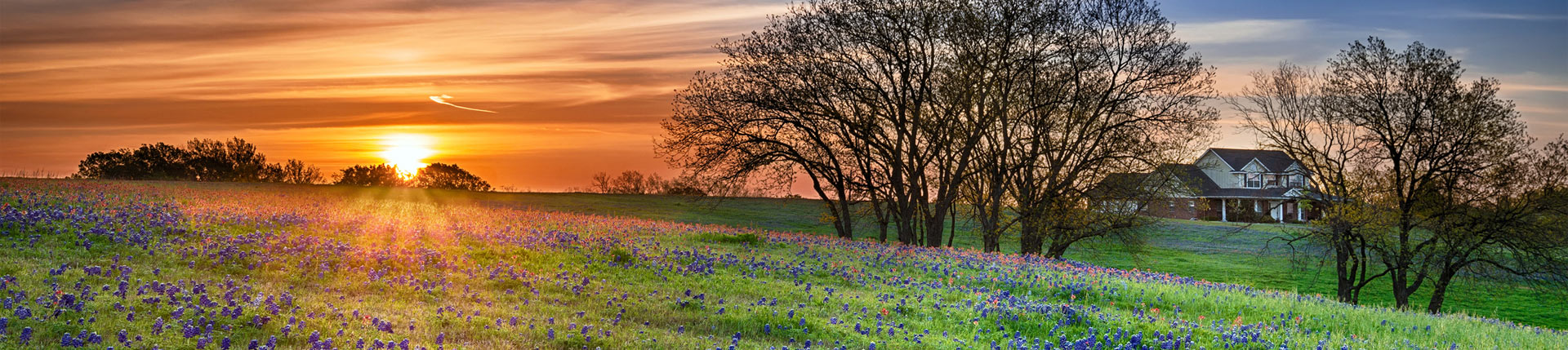Scenic Texas Landscape